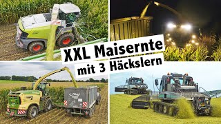 Agrolohn XXL Maisernte mit 3 Häckslern  Pistenraupe  Claas Jaguar  Krone Big X  John Deere 8000i [upl. by Eadas723]