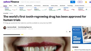 Update on human toothregrowing drug now set for September trials teeth [upl. by Yttig620]