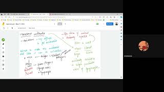 A level  Monoclonal antibodies and hybridomas  A quick revision [upl. by Rodger]