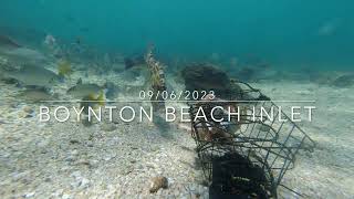 Boynton Beach Inlet Underwater Camera Featuring A Sea Turtle And More [upl. by Latoyia]