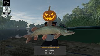 Fishing Planet Unique Clear Muskie HOTSPOT MONEY amp XP FARM SaintCroix Lake Michigan  Muskie Gołe [upl. by Uuge]