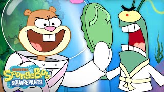 Sandy Teaches Plankton SelfDefense 👊  quotSingleCelled Defensequot Full Scene  SpongeBob [upl. by Aneen]