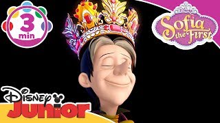 All Cedric Moments Sofia the First Episode 5 A Royal Mess [upl. by Veradi]