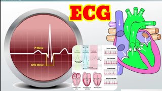 ECG Test in Hindi 📈 ईसीजी टेस्ट क्या है 🔥  Electrocardiogram ❤️ cardiovascular [upl. by Nalat]