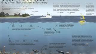 CO2 from ocean CaHCO32  HCl  CO2  CaCl2  H2O § HCl from H3PO4 Na3Po4  3 HCl 3 NaCl  H3Po4 §3 [upl. by Benge]