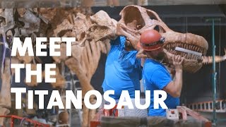 Meet the Titanosaur [upl. by Blackstock]