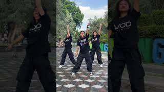 Dance Cover choreography Kupu  Kupu Tiara Andini  Azizah MRDS  dance kupukupu [upl. by Sharia947]