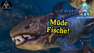 Glückspilz ahoi Anglerfisch amp Dunkleosteus zähmen ► ASA E65  ARK Survival Ascended [upl. by Jandel461]