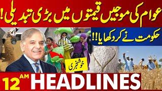 Good Initiative For Government   Lahore News Headlines 12 AM  08 April 2024 [upl. by Santoro]