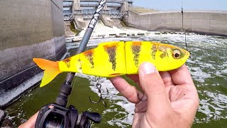 Swimbait Fishing For Spillway BEASTS [upl. by Nylirehs]