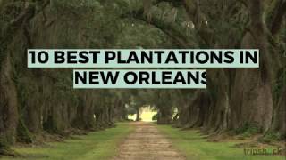 10 Best Plantations in New Orleans for History Tours [upl. by Kinsley]