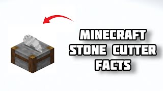 Minecraft Stone Cutter FACTS in Hindi [upl. by Arrek]