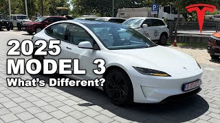 New 2025 Tesla Model 3 Performance Review  The Perfect Blend Of Performance amp Luxury [upl. by Bryce]