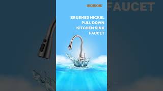 Brushed Nickel Pull Down Kitchen Sink Faucet  Modern Kitchen Upgrade [upl. by Ludba]