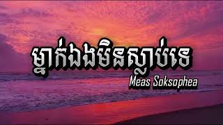 ម្នាក់ឯងមិនស្លាប់ទេ  Meas Soksophea [upl. by Nelad]