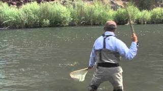 Dry Fly Fishing on a Cuthroat Leader [upl. by Acinad]