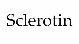 How to Pronounce Sclerotin [upl. by Odranreb]