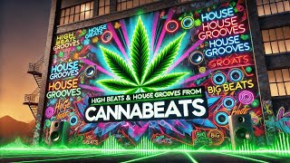 sunocom  Until The Smoke Clears v2  Cannabis Beats Hard House Big Beats 420 Music Stoner Beat [upl. by Klapp557]