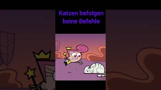 Katzen befolgen keine Befehle memes funny [upl. by Merkley227]