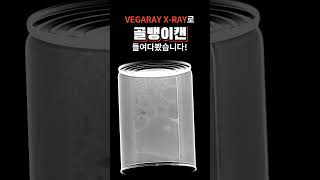 골뱅이캔을 엑스레이로 찍어보면 베가레이 xray 엑스레이 호기심 vegaray 캔 [upl. by Avlis]