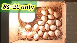 how to make incubator at home [upl. by Timmy938]