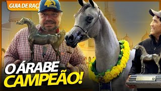 SERIA O CAVALO ÁRABE A RAÇA MAIS COMPLETA  RICHARD RASMUSSEN [upl. by Uaerraj272]