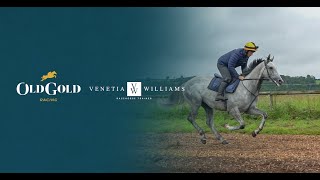 A Morning On The Gallops With Venetia Williams 2022 Full Version I Old Gold Racing Presents [upl. by Elokyn611]