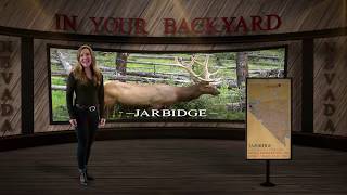 Jarbidge  In Your Backyard [upl. by Edahsalof]