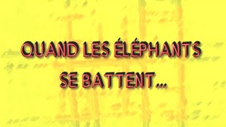 QUAND LES ELEPHANTS SE BATTENT SAISON1 EP17  BURKINA FASO [upl. by Ayor234]