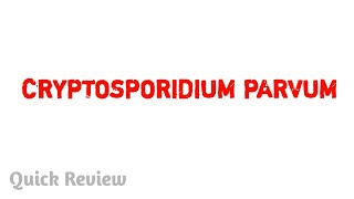 Cryptosporidium parvum  Parasitology  MBBS [upl. by Ahsenyl]