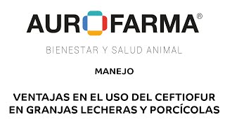 MANEJO  Ventajas en el uso del CEFTIOFUR en granjas lecheras y porcícolas [upl. by Glogau]