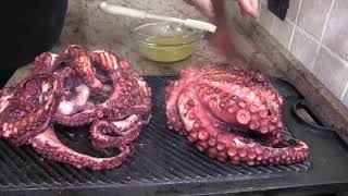 Pulpo a las Brasas o a la Parrilla Tierno y Sabroso [upl. by Dnyletak317]