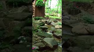 Beautiful and Serene Backyard Ideas and Water Features Compilation [upl. by Luapnoj]