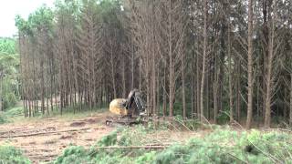 L870C feller buncher  Klabin Santa Catarina [upl. by Violette943]