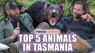 Top 5 Animals in Tasmania [upl. by Nessa]