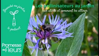 Podcast Branché au jardin  Les pollinisateurs au jardin [upl. by Yrok726]