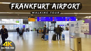 Walking tour inside Frankfurt airport 🇩🇪  4K UHD 60 FPS [upl. by Hcirteid]