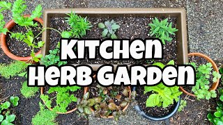 DIY Herb Garden For Beginners  DIY Kitchen Herb Garden [upl. by Howie]