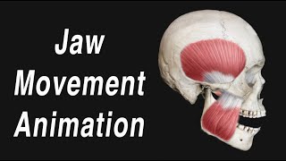 Anatomy of Jaw Motion  TMJ Articular Disc and Muscles [upl. by Navannod588]