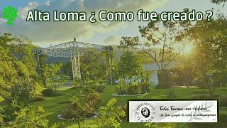 Alta Loma ¿ como surgio en Costa Rica un Bosque Cementerio [upl. by Major459]