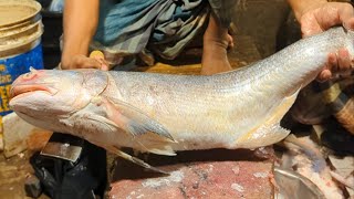 Fish King Giant Indian Salmon Fish Cutting In Fish Market  Fish Cutting Live [upl. by Anella728]