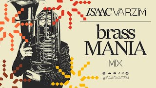 BRASS MANIA • a disco jazz house amp global grooves MIX [upl. by Edmee]