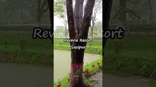 Reverie Resort  Beautiful Place reverieresort resort travel viral trending shorts beautiful [upl. by Havelock]