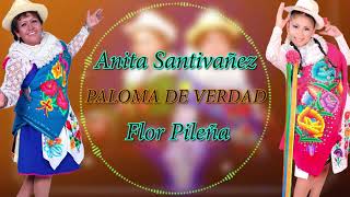 Anita Santivañez Flor Pileña  PALOMA DE VERDAD Official LyricLetra Video [upl. by Reinertson330]