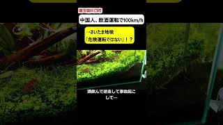 【埼玉県川口市】中国人が飲酒運転、暴走も「裁判所は危険運転でない」判断！？【ニュース】 [upl. by Haynor666]