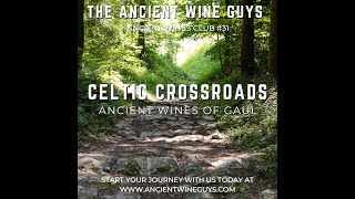 Celtic Crossroads Ancient Wines of Gaul [upl. by Yreneh]