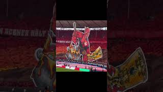 Ein Verein Viele Fans pt1 footballedits football bundesliga edit [upl. by Chao]