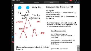 Ovogenèse résidanat oran [upl. by Utas334]