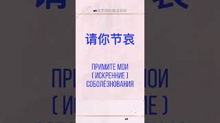 🇷🇺俄语学习 俄语口语 俄语日常用语 俄语课 俄语教学 学俄语 教俄语 俄语零基础 俄语入门 零基础教俄语 俄语老师 俄语外教 俄罗斯人 [upl. by Malha]