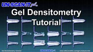 Gel Densitometry Tutorial [upl. by Nanek]